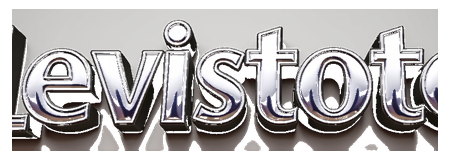 levistoto logo